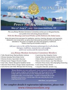 2013 Rimay flyer small page 001 227x300 Home Page Promo